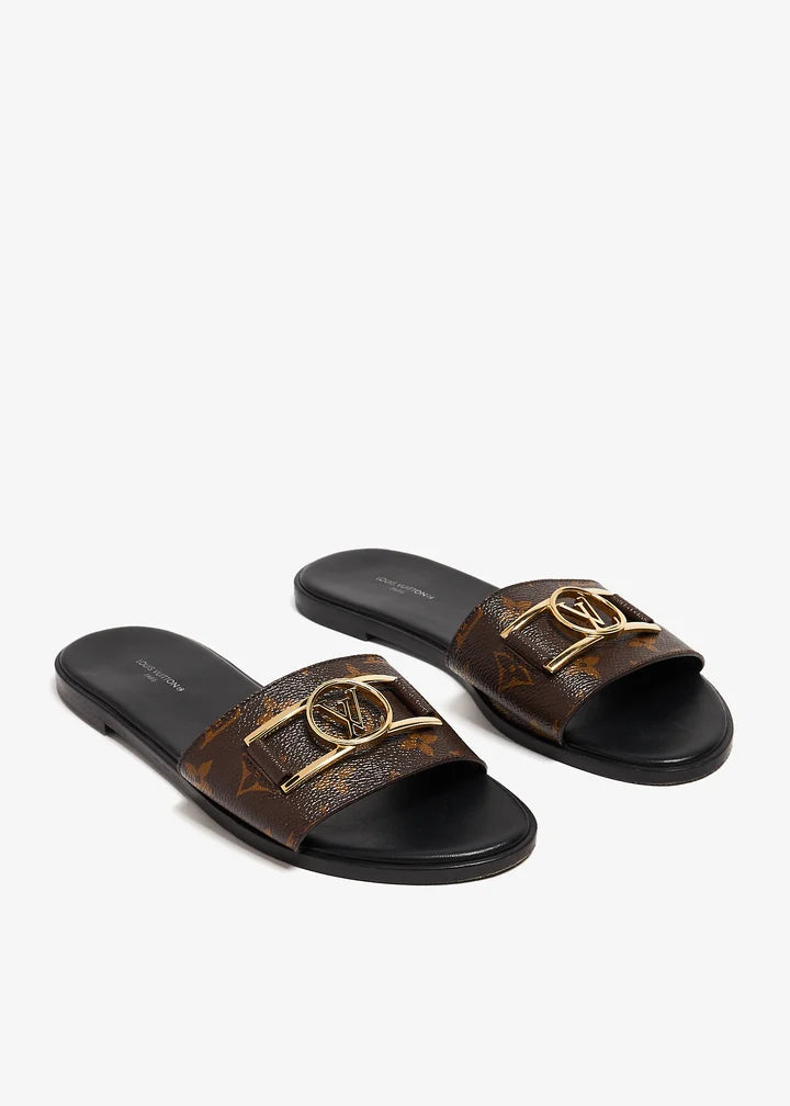 LV SLIDES
