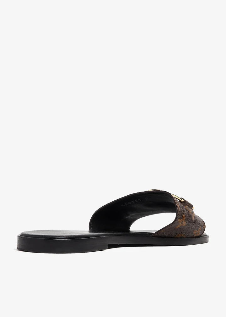 LV SLIDES