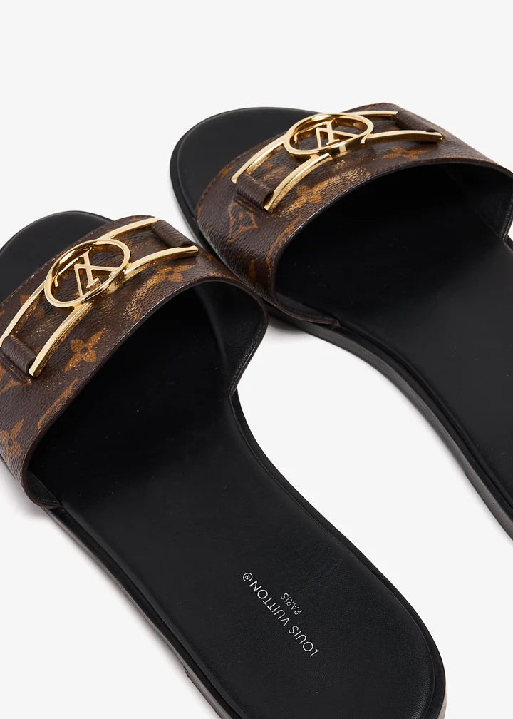 LV SLIDES