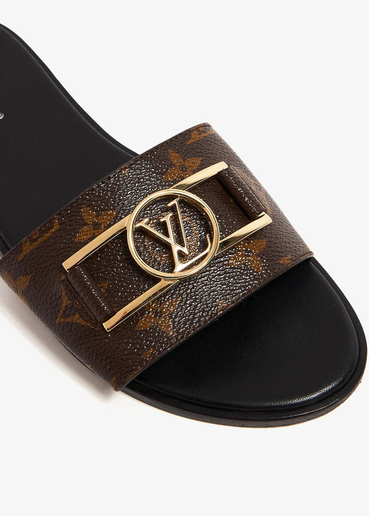 LV SLIDES